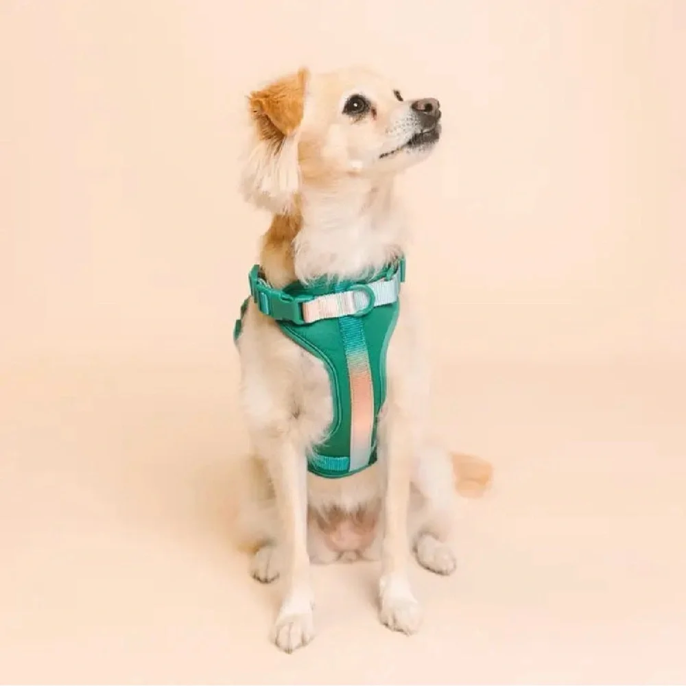 Parker Dog Harness | Green No Pull Multi Walk Style Harness